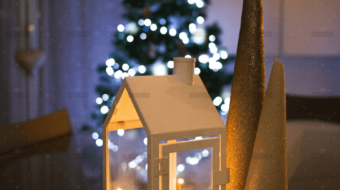 demo-attachment-1553-portfolio-12-img