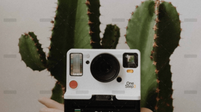 demo-attachment-856-portfolio-8-img